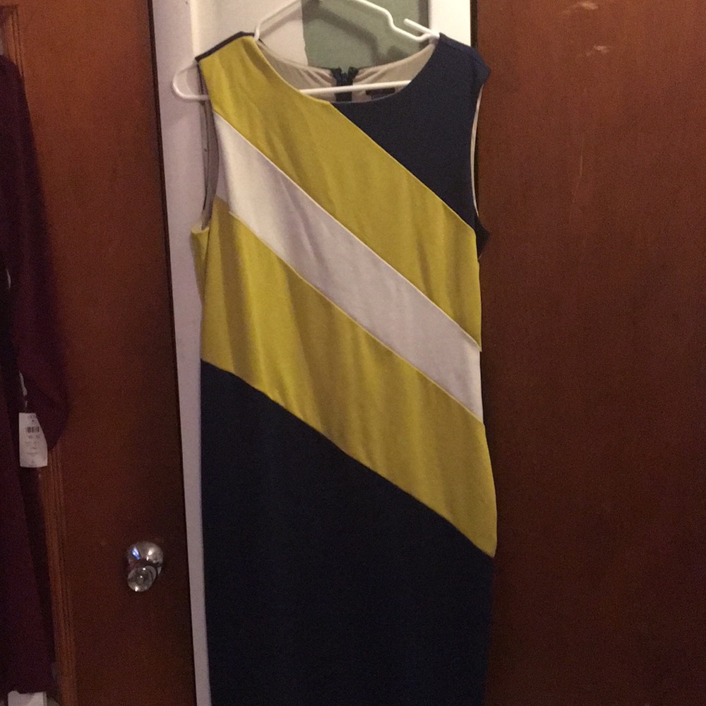 Ann Taylor dress!
